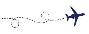 plane_navy